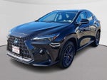 2024 Lexus NX NX 350