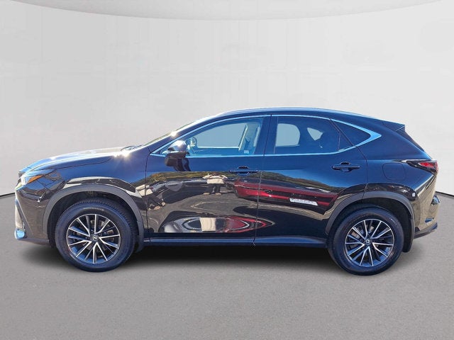 2024 Lexus NX NX 350