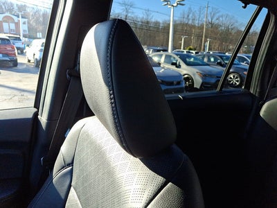 2022 Honda Passport Elite